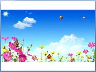 幻灯片 背景图片怎么弄