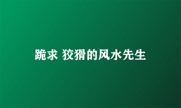 跪求 狡猾的风水先生