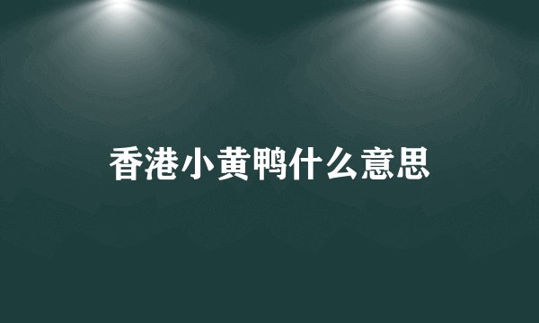 香港小黄鸭什么意思
