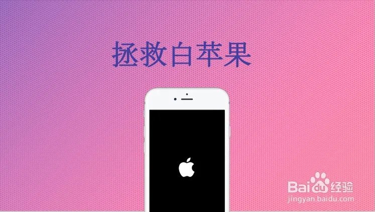 怎么修复白苹果