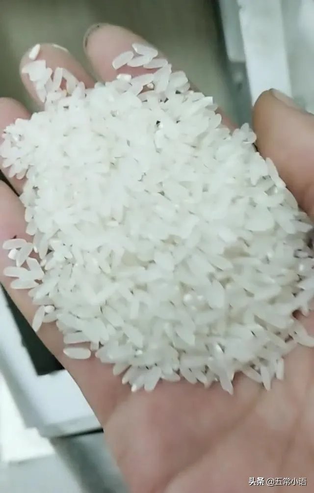 东北为什么产大米