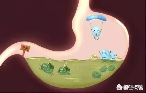 你们买益生菌的话都是买什么品牌的？