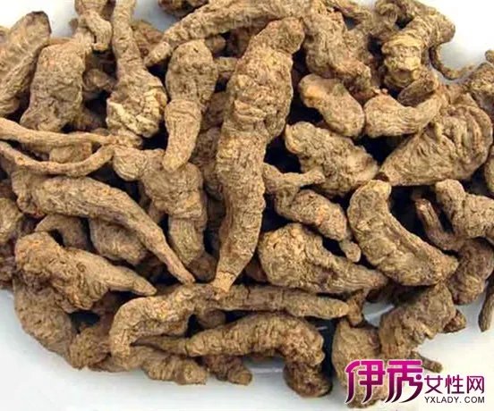 中药图片大全及名称图片欣赏