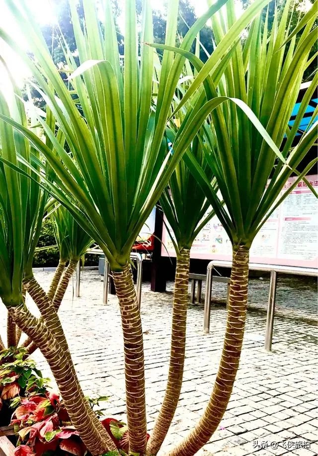 该怎么学习自媒体？