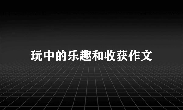 玩中的乐趣和收获作文