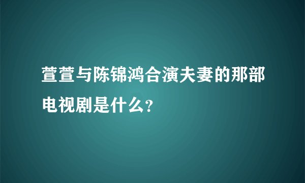 萱萱与陈锦鸿合演夫妻的那部电视剧是什么？