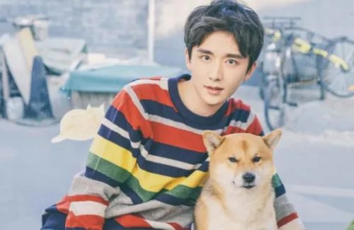 张新成在《以家人之名》频繁出演哭戏，如何评价他的哭戏？