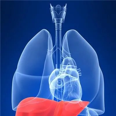 肝病的症状有哪些