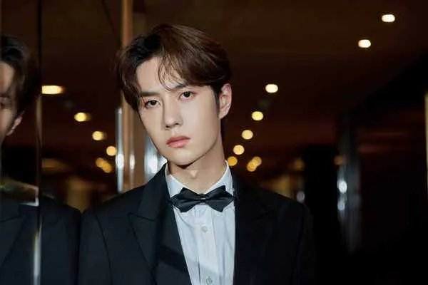 为什么王一博可以主持天天向上？