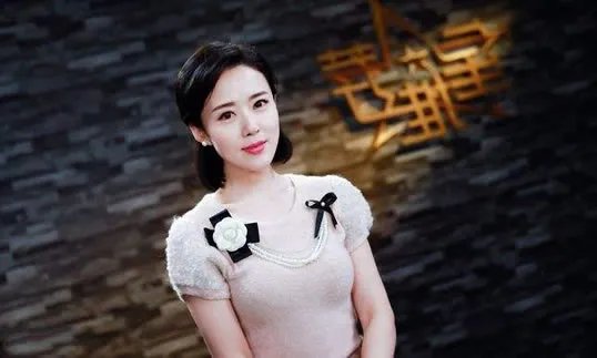 颜丹晨的老公是谁现任,颜丹晨个人简历图片