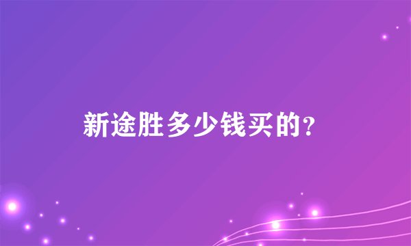 新途胜多少钱买的？