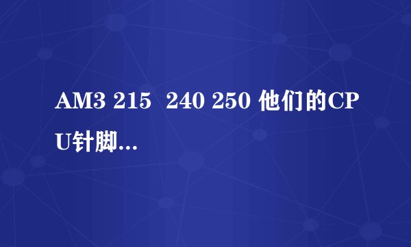 AM3 215  240 250 他们的CPU针脚数是多少