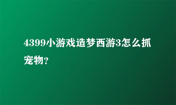 4399小游戏造梦西游3怎么抓宠物？