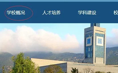 温州大学计财处网址是什么