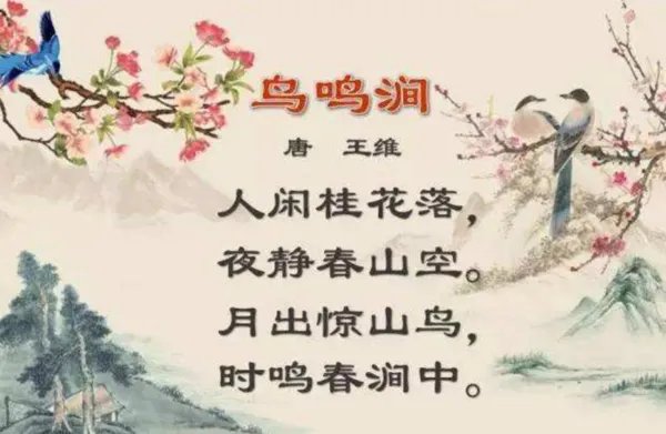 月出惊山鸟 时鸣春涧中的意思