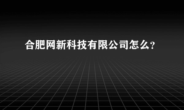 合肥网新科技有限公司怎么？