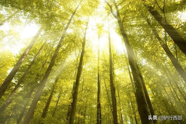 乐清男子生前身残志坚学艺助人，身后捐献器官已救三人, 你怎么看？