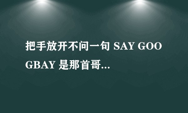 把手放开不问一句 SAY GOOGBAY 是那首哥的歌词~？