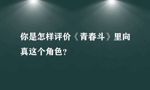 你是怎样评价《青春斗》里向真这个角色？