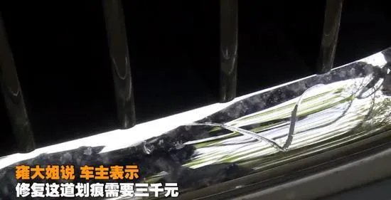 成都保洁大姐蹭伤豪车，丈夫称要与其离婚，你怎么看？