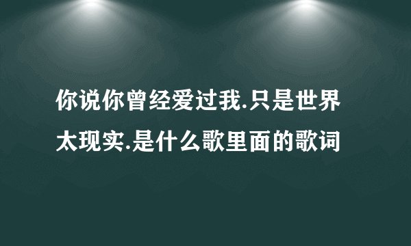 你说你曾经爱过我.只是世界太现实.是什么歌里面的歌词