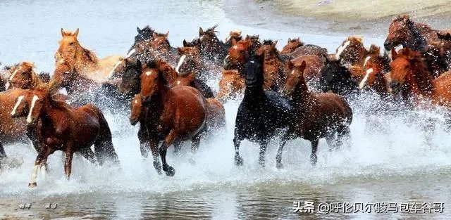 尼康d300s怎么样？