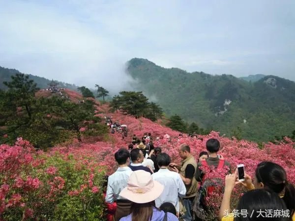 想做一个24小时自助扫码售货机，大家有什么好的建议？