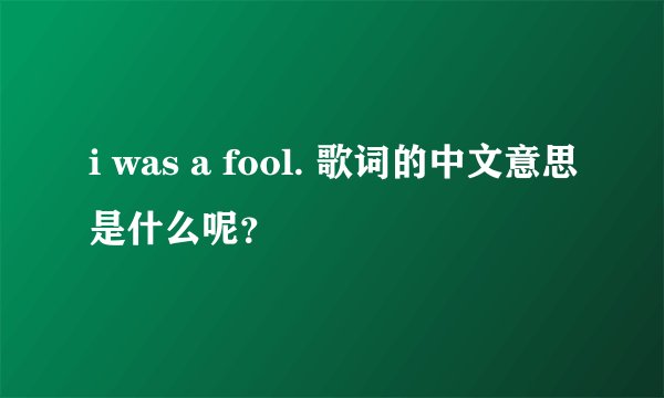 i was a fool. 歌词的中文意思是什么呢？