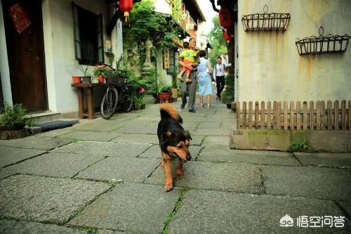 说到浙江人，你的第一印象是什么？