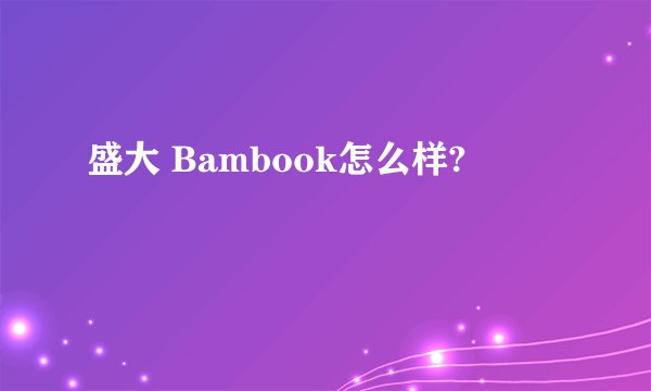盛大 Bambook怎么样?