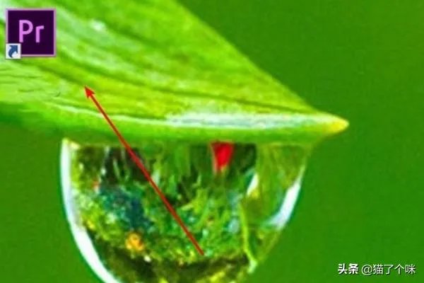 2020中文字幕乱码