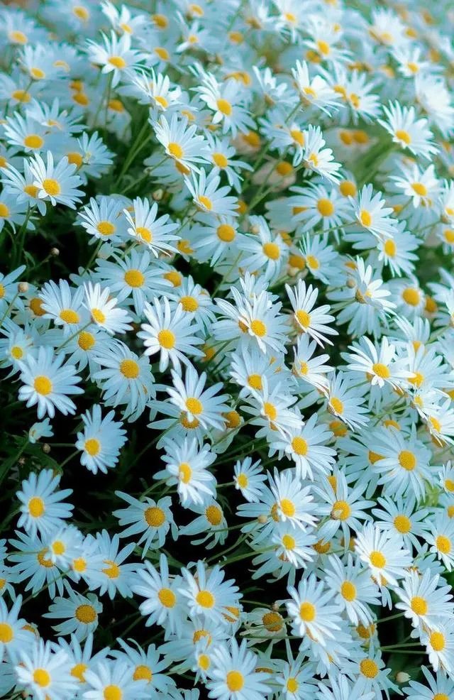 好看的锁屏壁纸有可以分享的吗？