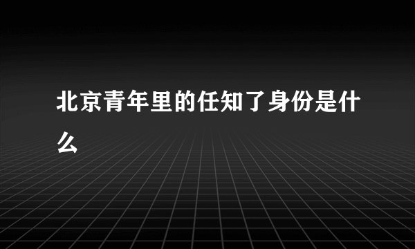 北京青年里的任知了身份是什么