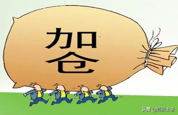 被立案的股票有希望上升吗？