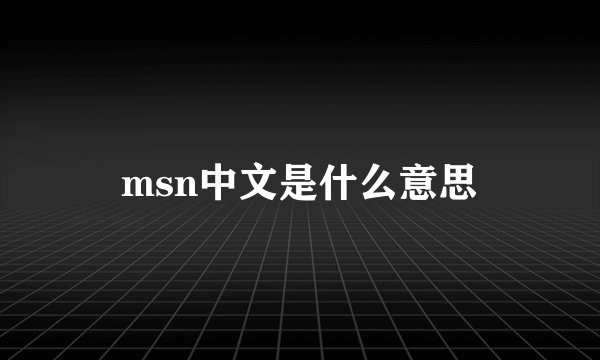msn中文是什么意思