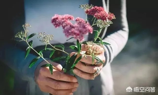 你有没有一个人，分开并不是不爱，后面一直不联系，却隐藏在心中？