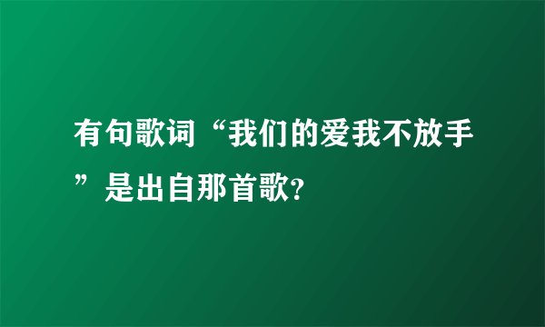 有句歌词“我们的爱我不放手”是出自那首歌？