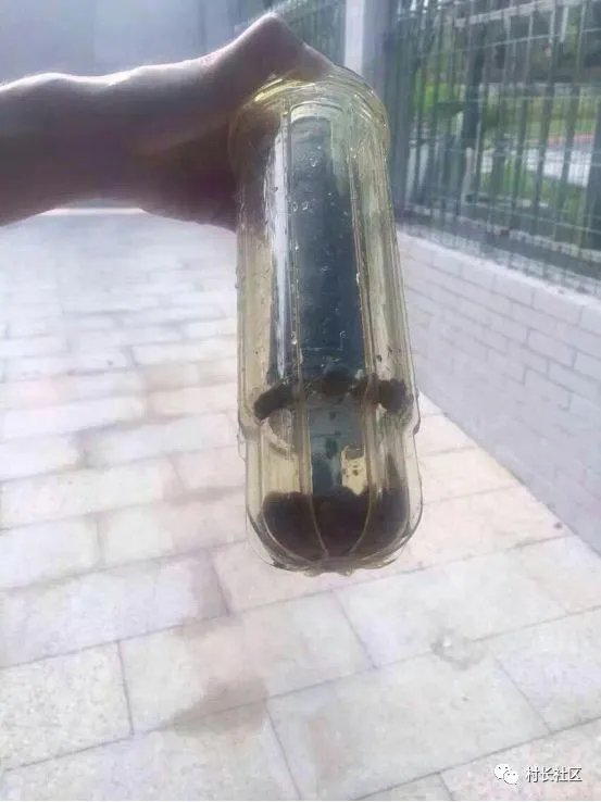 自来水不敢直接喝的举手！