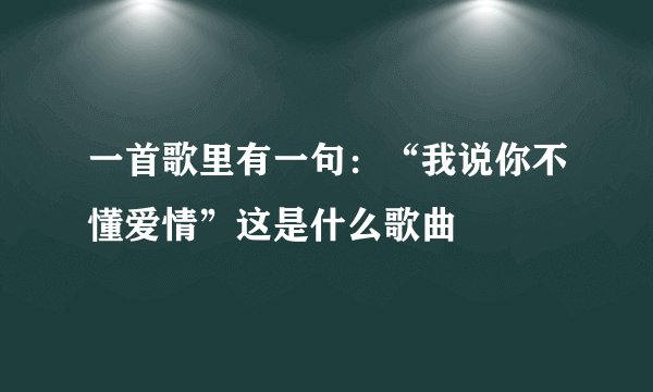 一首歌里有一句：“我说你不懂爱情”这是什么歌曲
