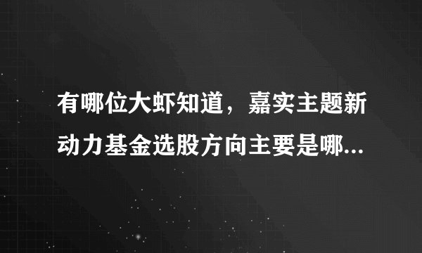 有哪位大虾知道，嘉实主题新动力基金选股方向主要是哪些方面？