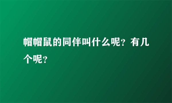 帽帽鼠的同伴叫什么呢？有几个呢？