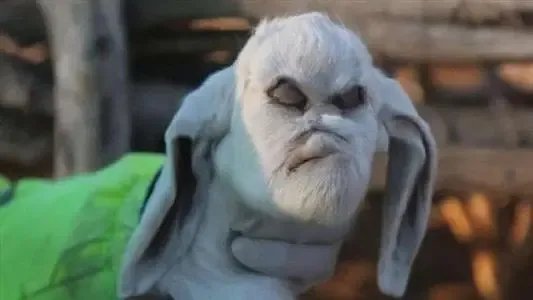 印度一山羊宝宝长出人脸,这样奇特的事情你还知道哪些?