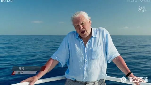 《蓝色星球第二季》里海豚游泳是不是类似于裸眼3d？