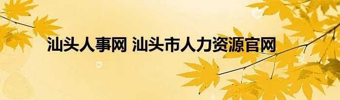 汕头人事网 汕头市人力资源官网