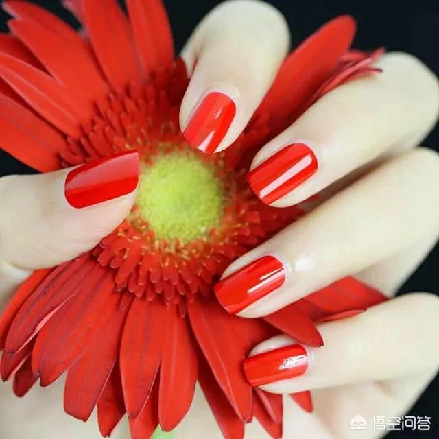 蔻丹和kasi指甲油哪个好？