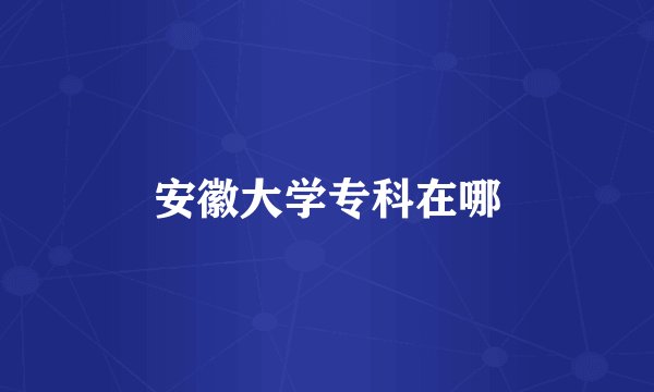 安徽大学专科在哪