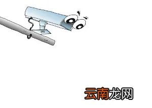 电子警察交通违章查询_电子警察多久能查到