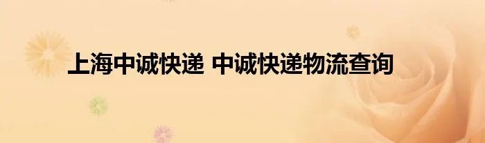 上海中诚快递 中诚快递物流查询