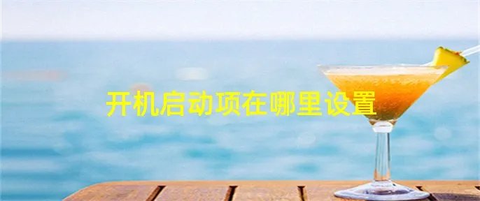 开机启动项在哪里设置