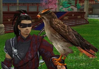 剑网3丐帮宠物隼五种外观游戏实景截图整理